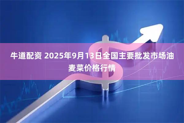 牛道配资 2025年9月13日全国主要批发市场油麦菜价格行情