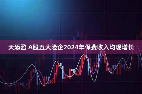 天添盈 A股五大险企2024年保费收入均现增长