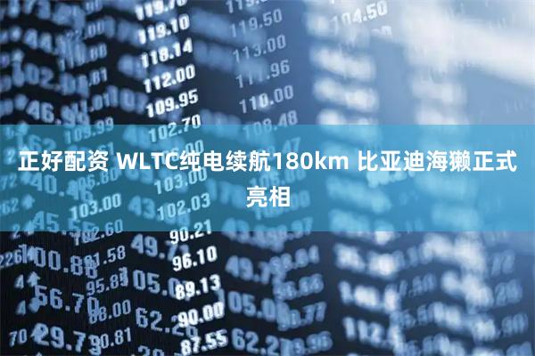 正好配资 WLTC纯电续航180km 比亚迪海獭正式亮相