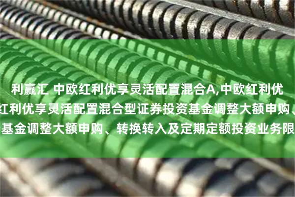 利赢汇 中欧红利优享灵活配置混合A,中欧红利优享灵活配置混合C: 中欧红利优享灵活配置混合型证券投资基金调整大额申购、转换转入及定期定额投资业务限额的公告