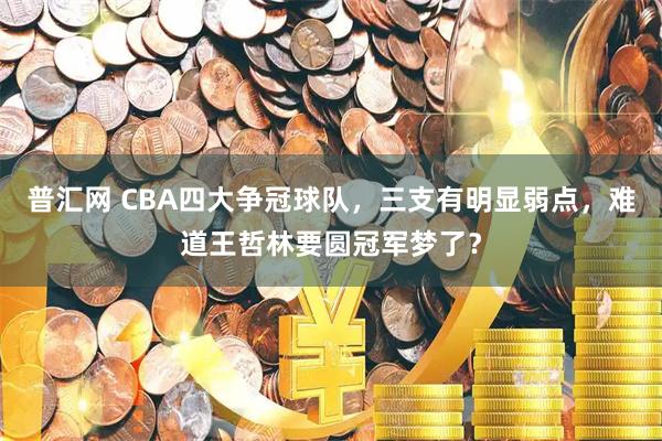 普汇网 CBA四大争冠球队，三支有明显弱点，难道王哲林要圆冠军梦了？