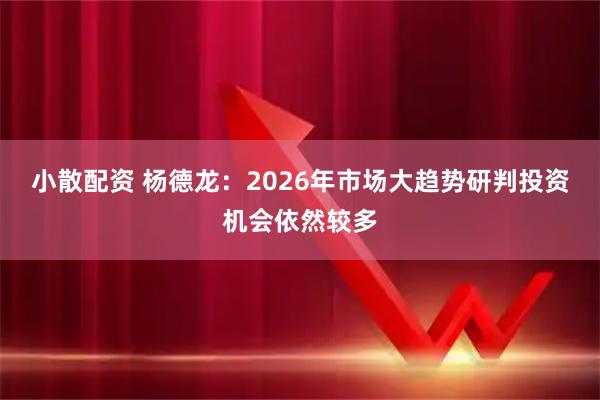 小散配资 杨德龙：2026年市场大趋势研判投资机会依然较多