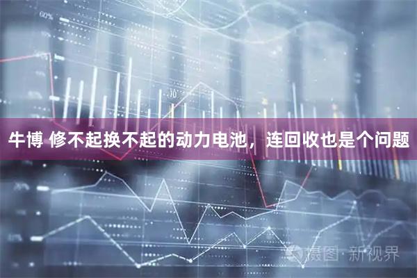 牛博 修不起换不起的动力电池，连回收也是个问题